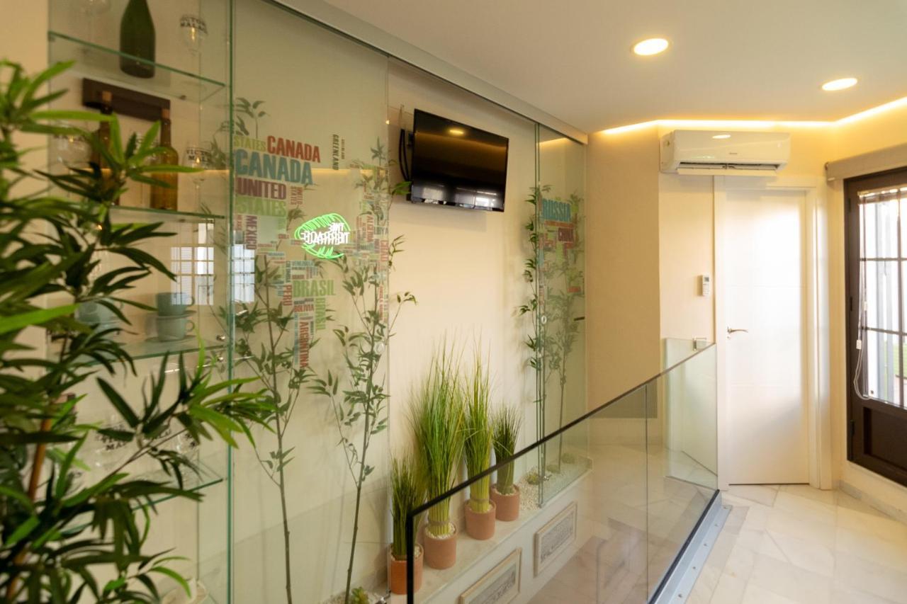 塞维利亚The Terrace, Duplex Con Terraza Privada公寓 外观 照片